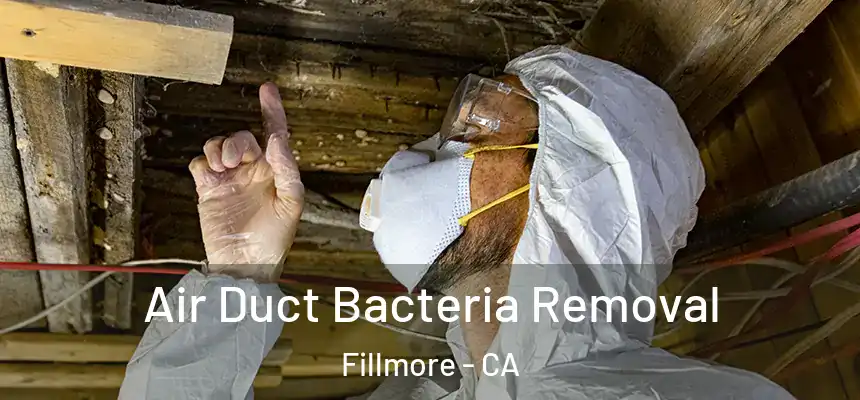 Air Duct Bacteria Removal Fillmore - CA