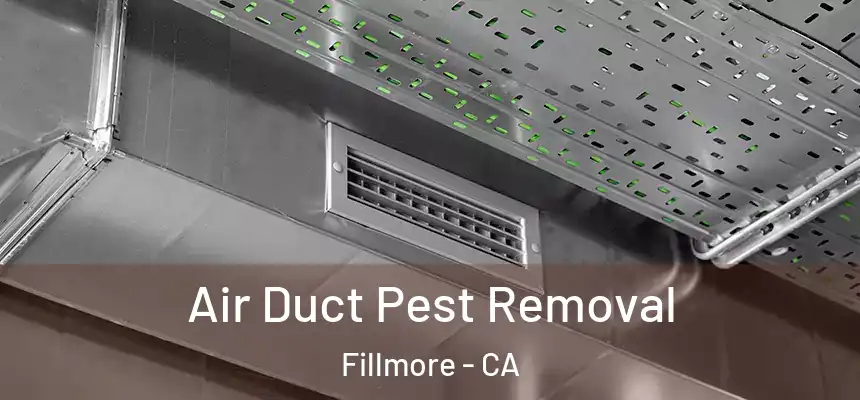 Air Duct Pest Removal Fillmore - CA
