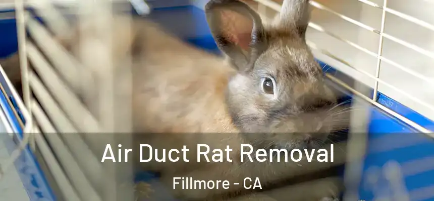  Air Duct Rat Removal Fillmore - CA