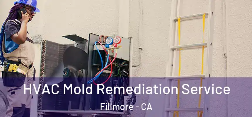  HVAC Mold Remediation Service Fillmore - CA
