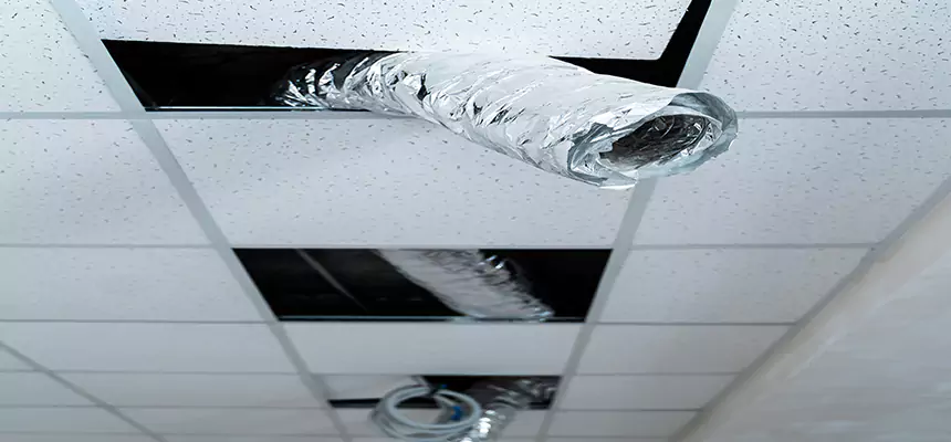 Affordable HVAC Sanitizing After Pest Removal in Fillmore