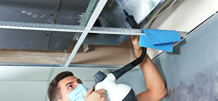 Our Air Duct Rodent Removal Services in Fillmore, CA