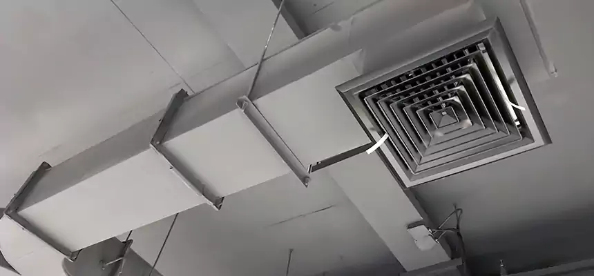 Restorative Allergy Relief Vent Cleaning – Coil, Blower & Housing Detail in Fillmore