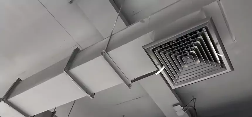 Our Rodent Droppings In Vents Services in Fillmore, CA