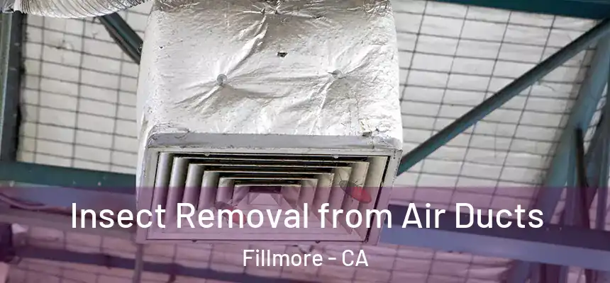  Insect Removal from Air Ducts Fillmore - CA
