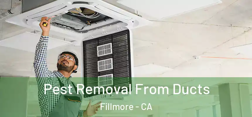  Pest Removal From Ducts Fillmore - CA