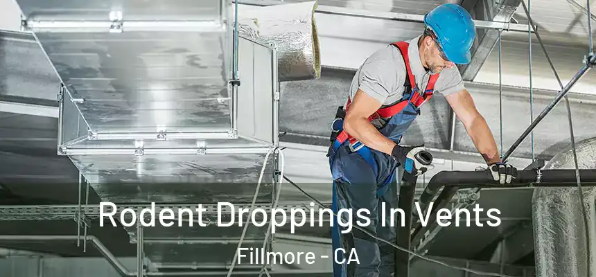  Rodent Droppings In Vents Fillmore - CA