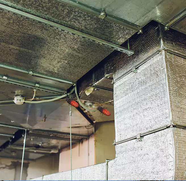 Why Homeowners & Businesses Trust Us in Fillmore, CA?