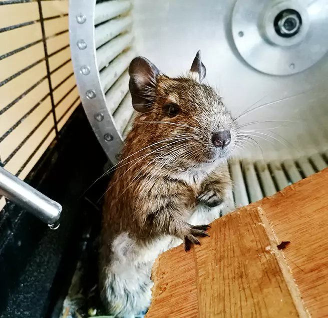 Why Homeowners & Businesses Trust Us Fillmore, CA