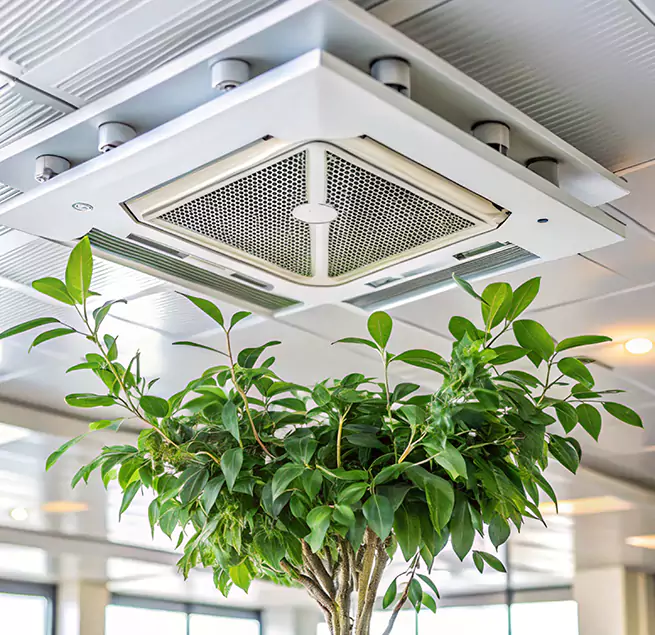 Why Homeowners & Businesses Trust Us in Fillmore, CA?